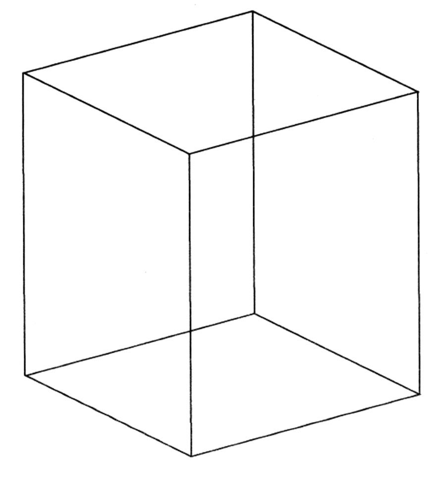 Necker Cube diagram